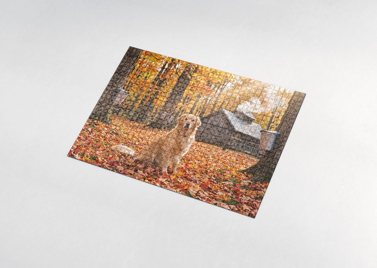 Golden Retriever in the Maple Grove jigsaw puzzle - assembled puzzle