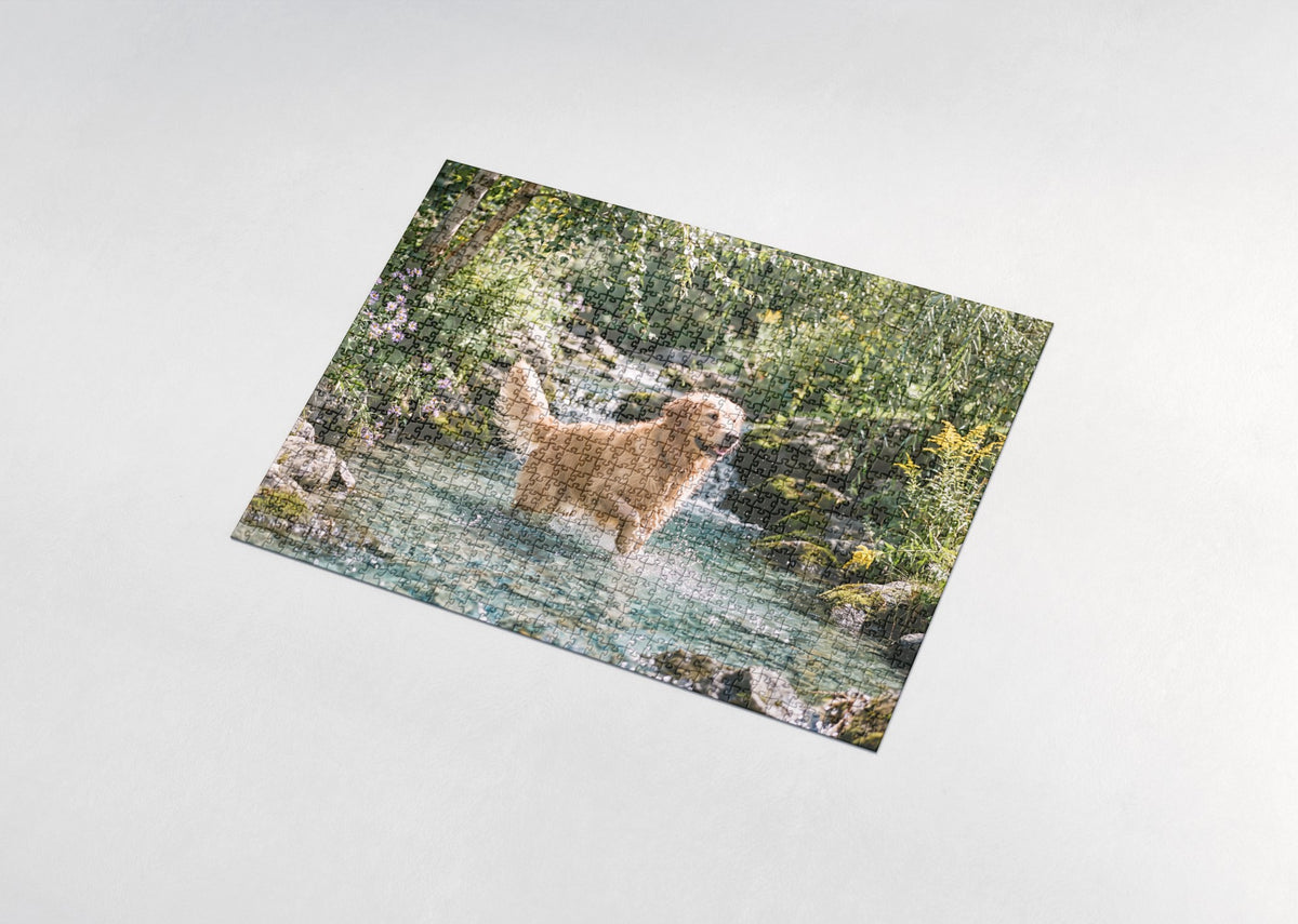 Golden Retriever Splashing in the Summer Creek jigsaw puzzle - assembled puzzle