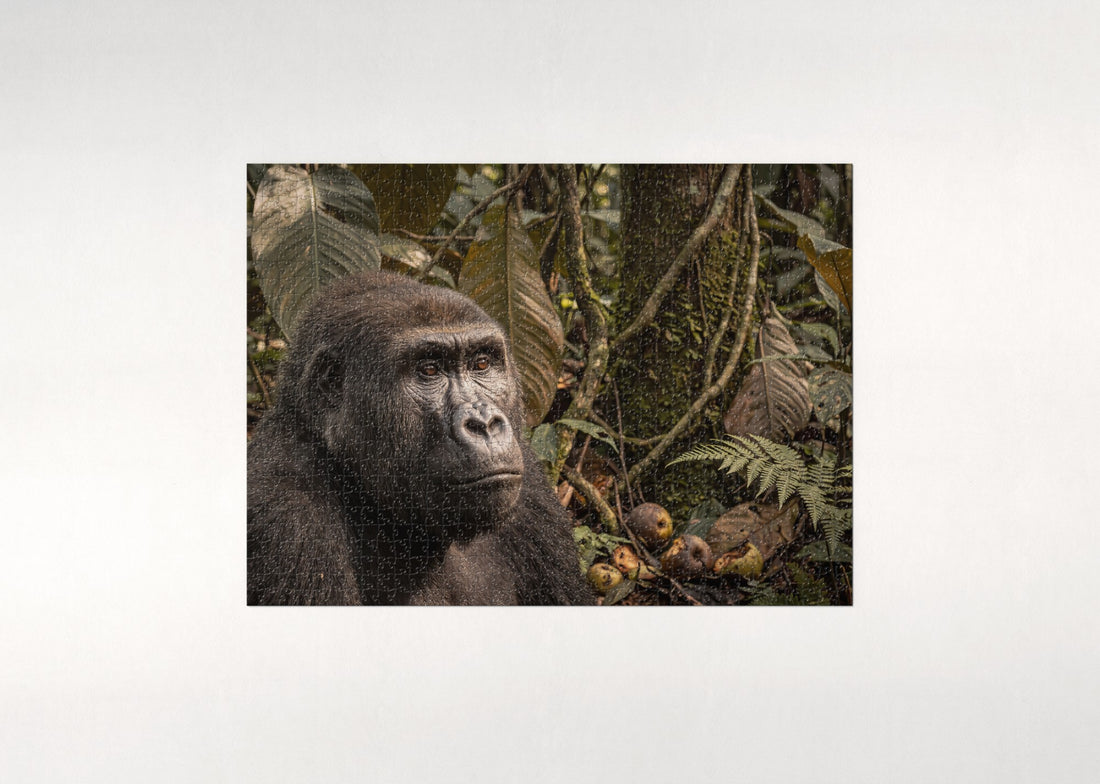 Gorilla Portrait with Thoughtful Gaze jigsaw puzzle - gift box