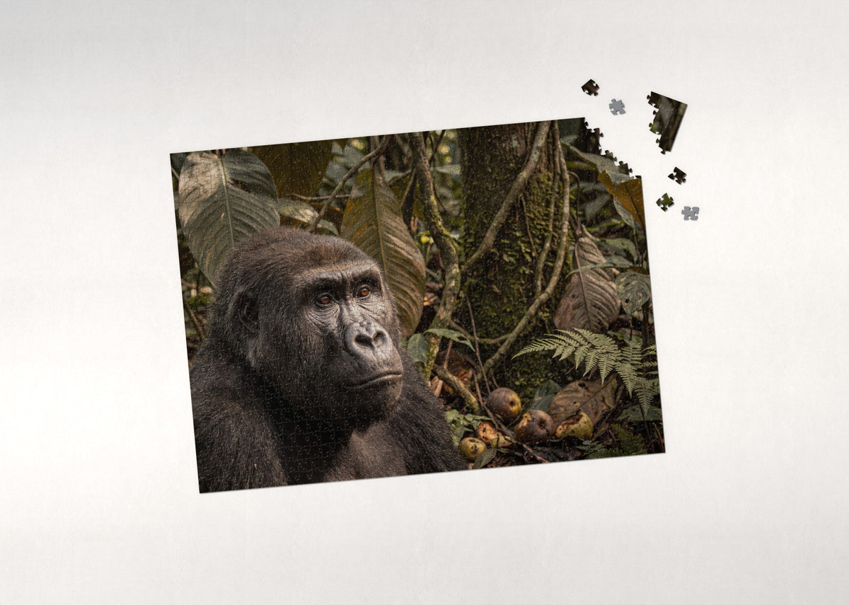 Gorilla Portrait with Thoughtful Gaze jigsaw puzzle - puzzle with loose pieces