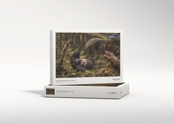 Gorilla Resting in the Ferns jigsaw puzzle - gift box