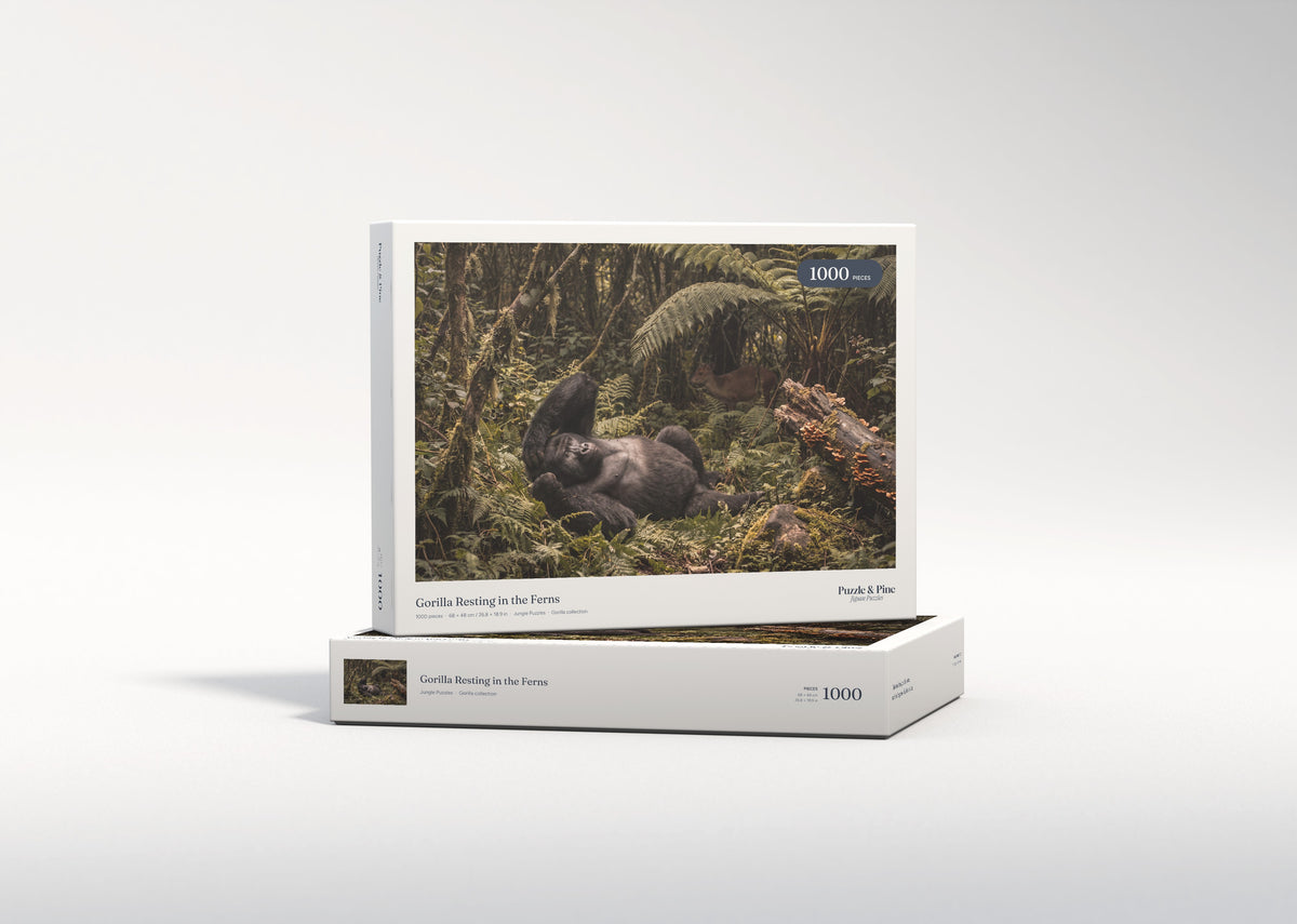 Gorilla Resting in the Ferns jigsaw puzzle - gift box