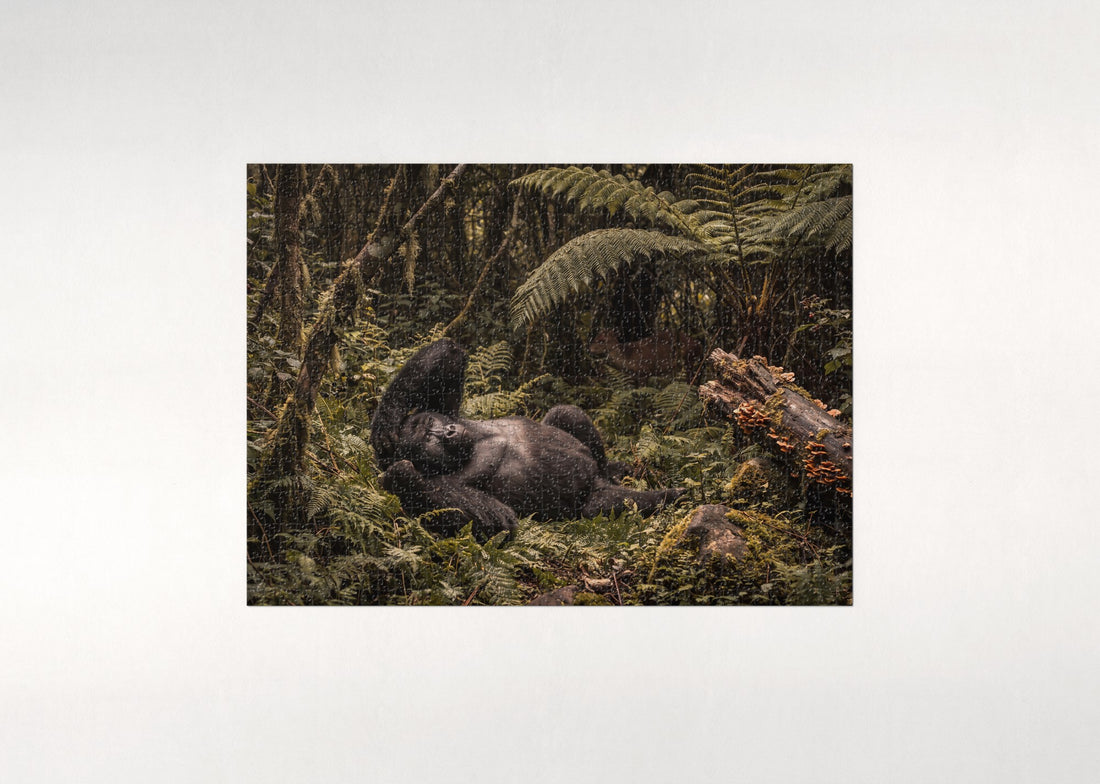 Gorilla Resting in the Ferns jigsaw puzzle - gift box