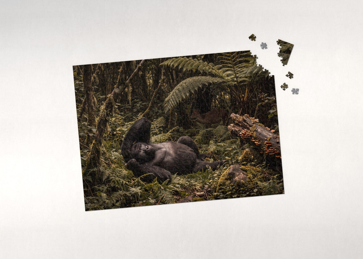 Gorilla Resting in the Ferns jigsaw puzzle - puzzle with loose pieces