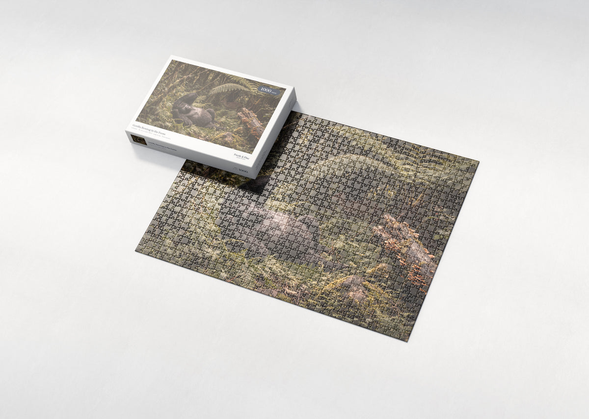 Gorilla Resting in the Ferns jigsaw puzzle - box and puzzle
