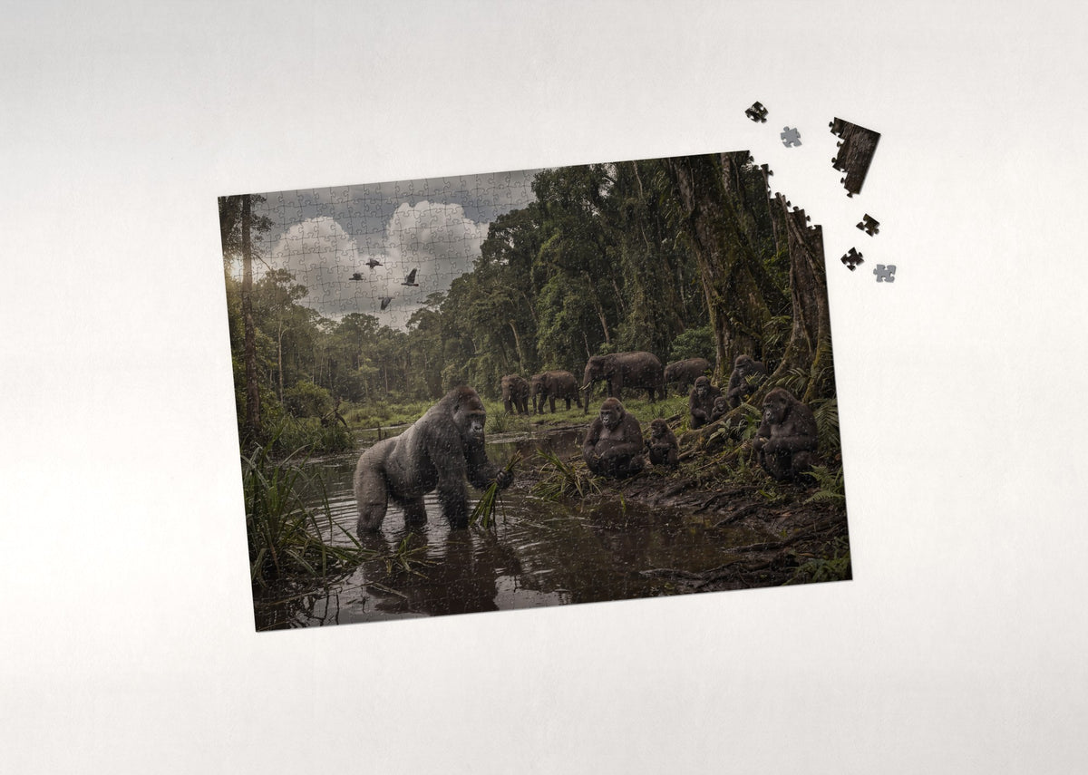 Gorillas in the Rainforest Clearing jigsaw puzzle - puzzle with loose pieces