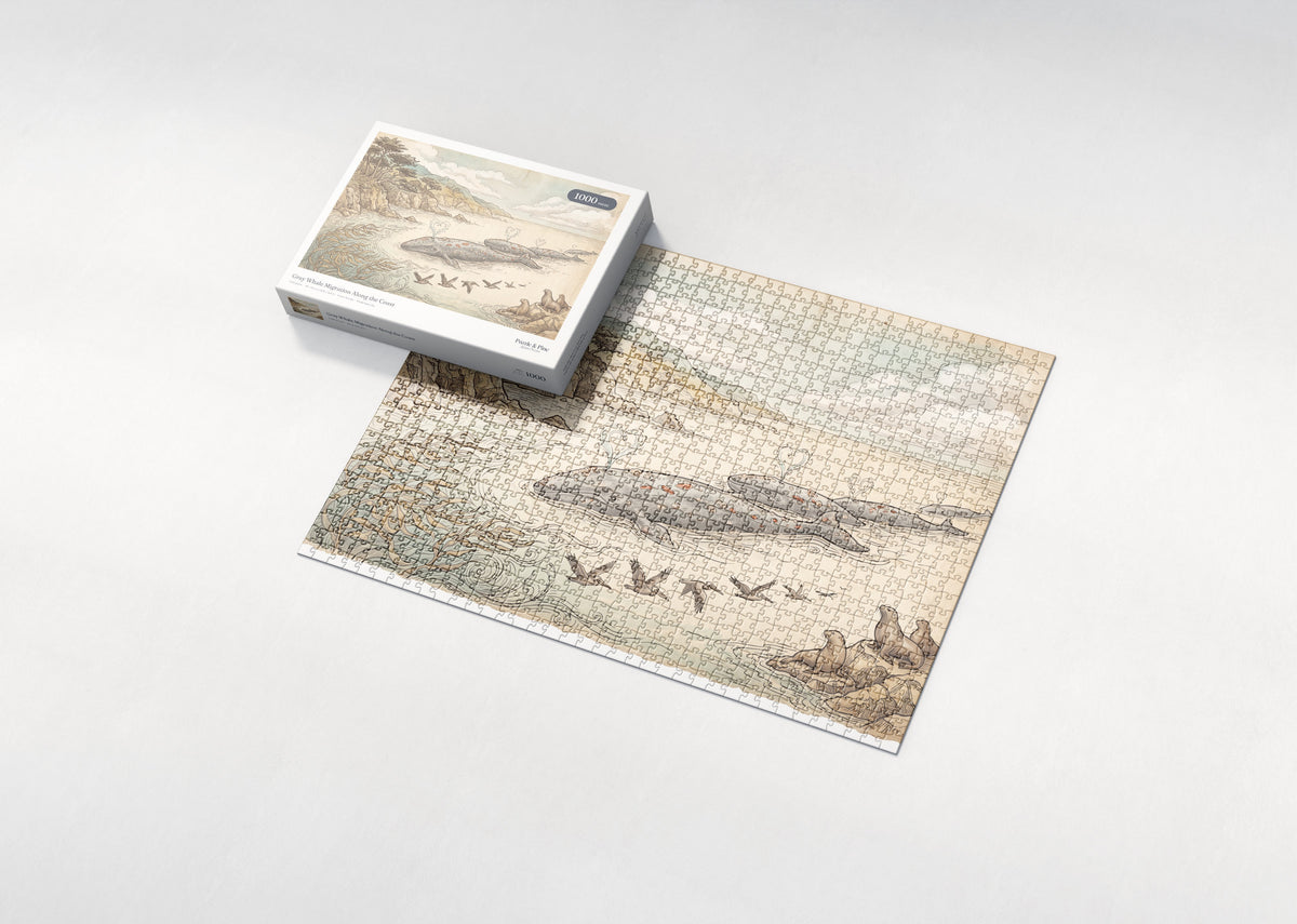 Gray Whale Migration Along the Coast jigsaw puzzle - box and puzzle