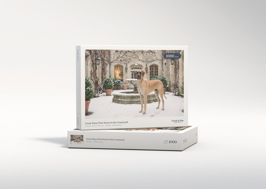 Great Dane First Snow in the Courtyard jigsaw puzzle - gift box