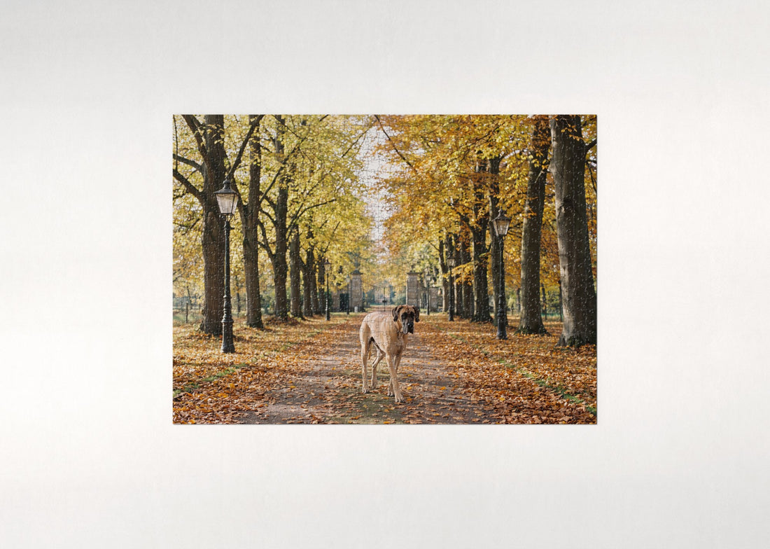 Great Dane in the Autumn Tree Avenue jigsaw puzzle - gift box