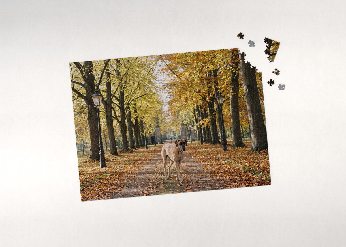 Great Dane in the Autumn Tree Avenue jigsaw puzzle - puzzle with loose pieces