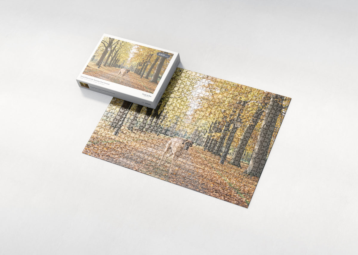 Great Dane in the Autumn Tree Avenue jigsaw puzzle - box and puzzle