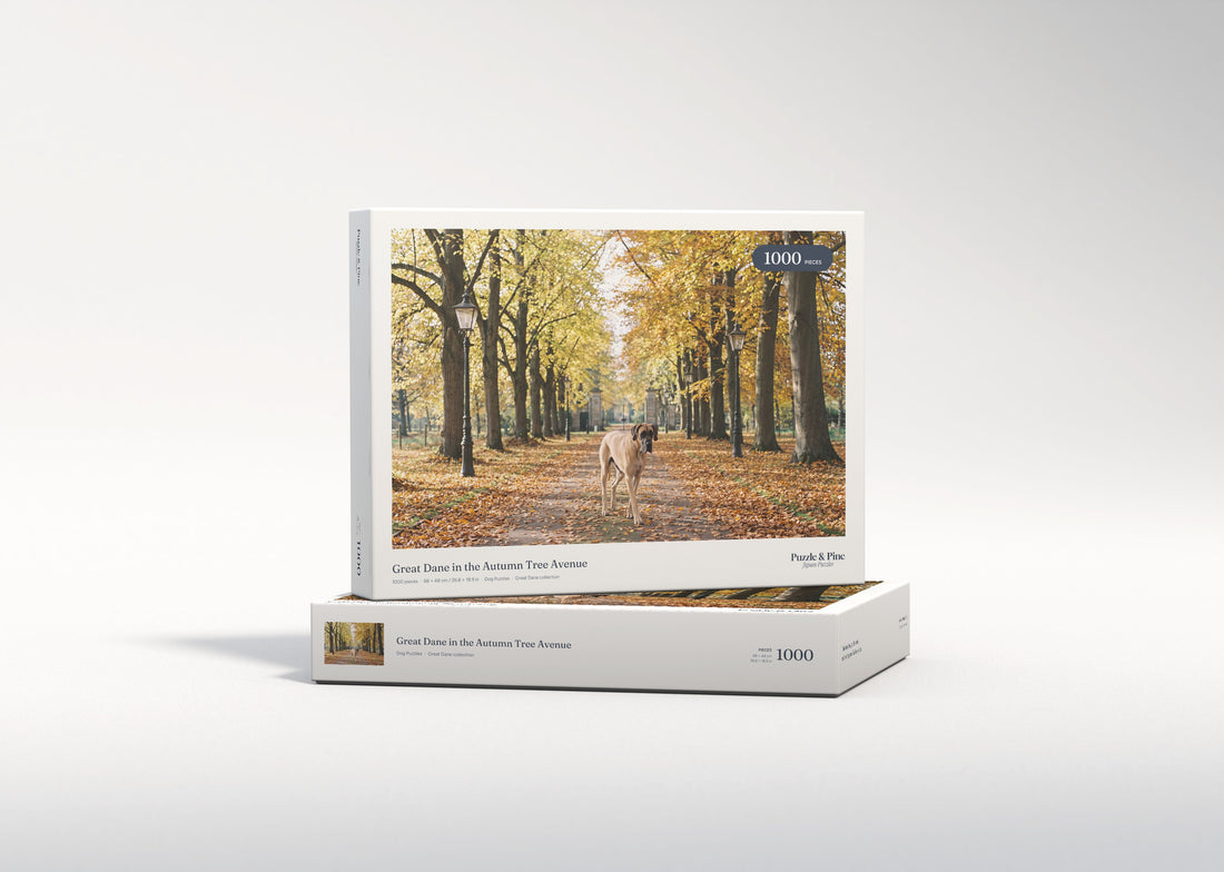 Great Dane in the Autumn Tree Avenue jigsaw puzzle - gift box
