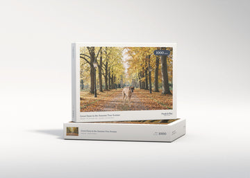 Great Dane in the Autumn Tree Avenue jigsaw puzzle - gift box