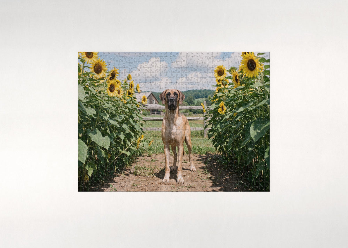 Great Dane in the Sunflower Rows jigsaw puzzle - flat puzzle
