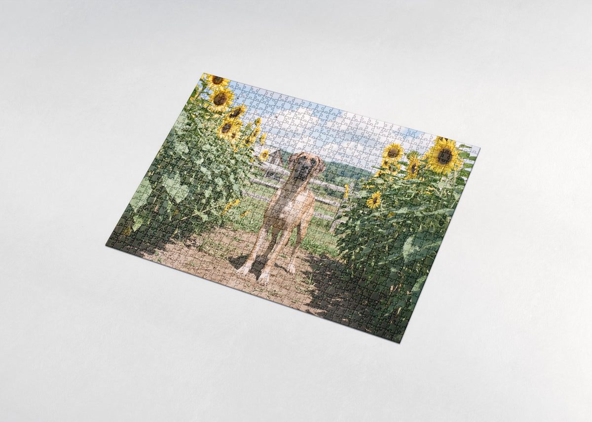Great Dane in the Sunflower Rows jigsaw puzzle - assembled puzzle