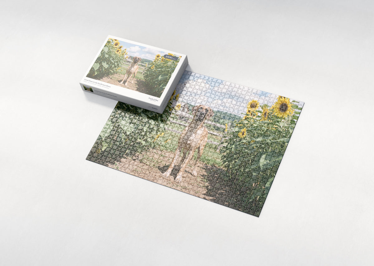 Great Dane in the Sunflower Rows jigsaw puzzle - box and puzzle