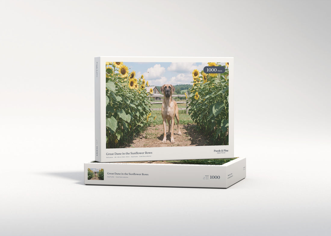 Great Dane in the Sunflower Rows jigsaw puzzle - gift box
