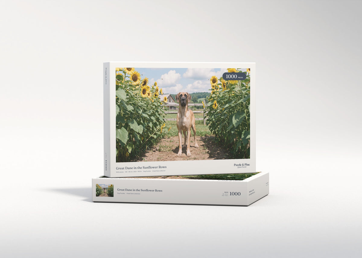 Great Dane in the Sunflower Rows jigsaw puzzle - gift box