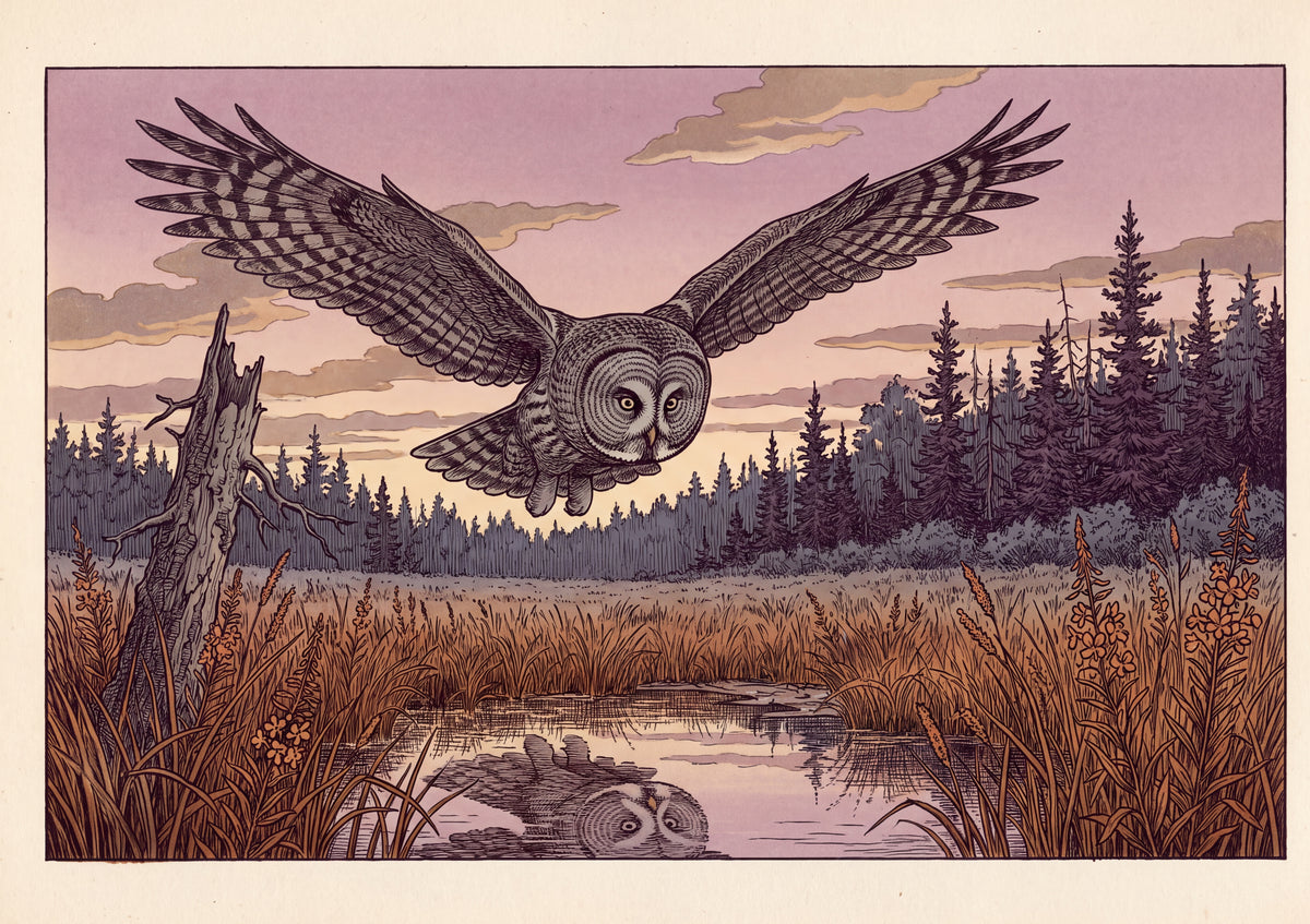 Great Grey Owl Hunting the Twilight Meadow jigsaw puzzle