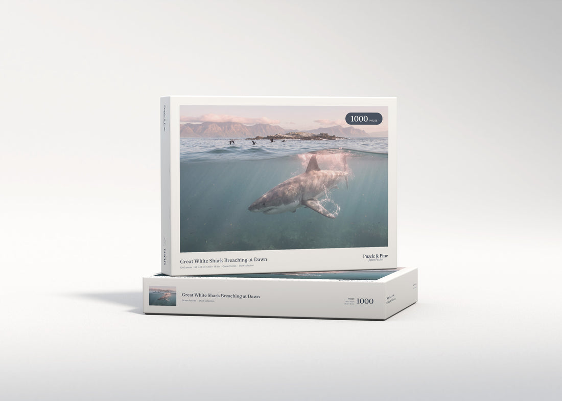 Great White Shark Breaching at Dawn jigsaw puzzle - gift box