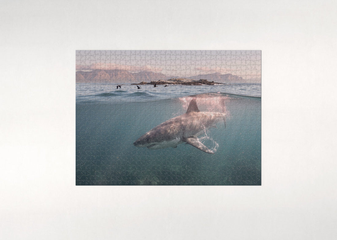 Great White Shark Breaching at Dawn jigsaw puzzle - gift box