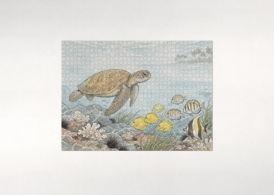Green Sea Turtle in the Sunlit Shallows jigsaw puzzle - gift box
