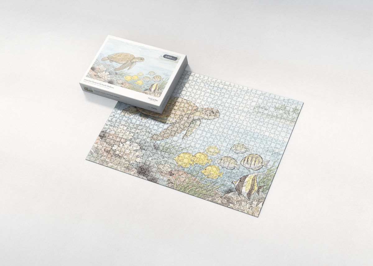 Green Sea Turtle in the Sunlit Shallows jigsaw puzzle - box and puzzle