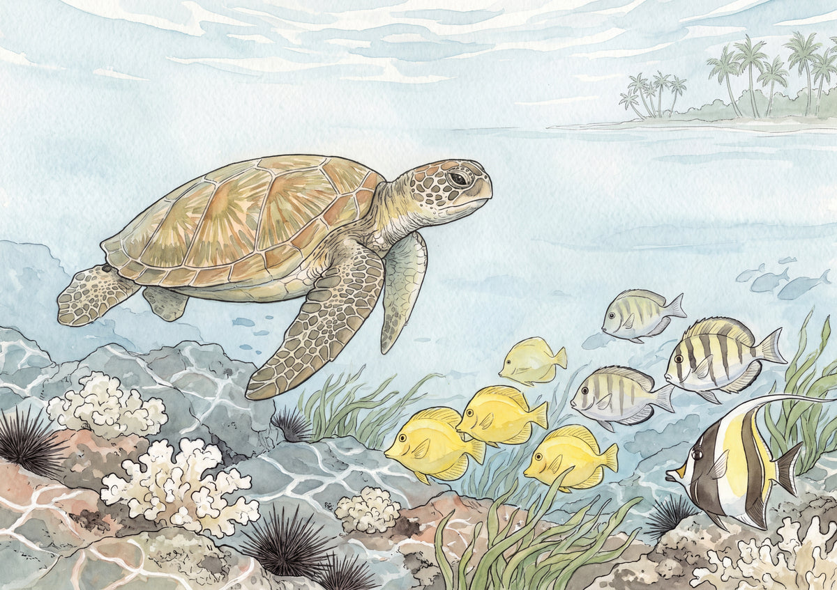 Green Sea Turtle in the Sunlit Shallows jigsaw puzzle