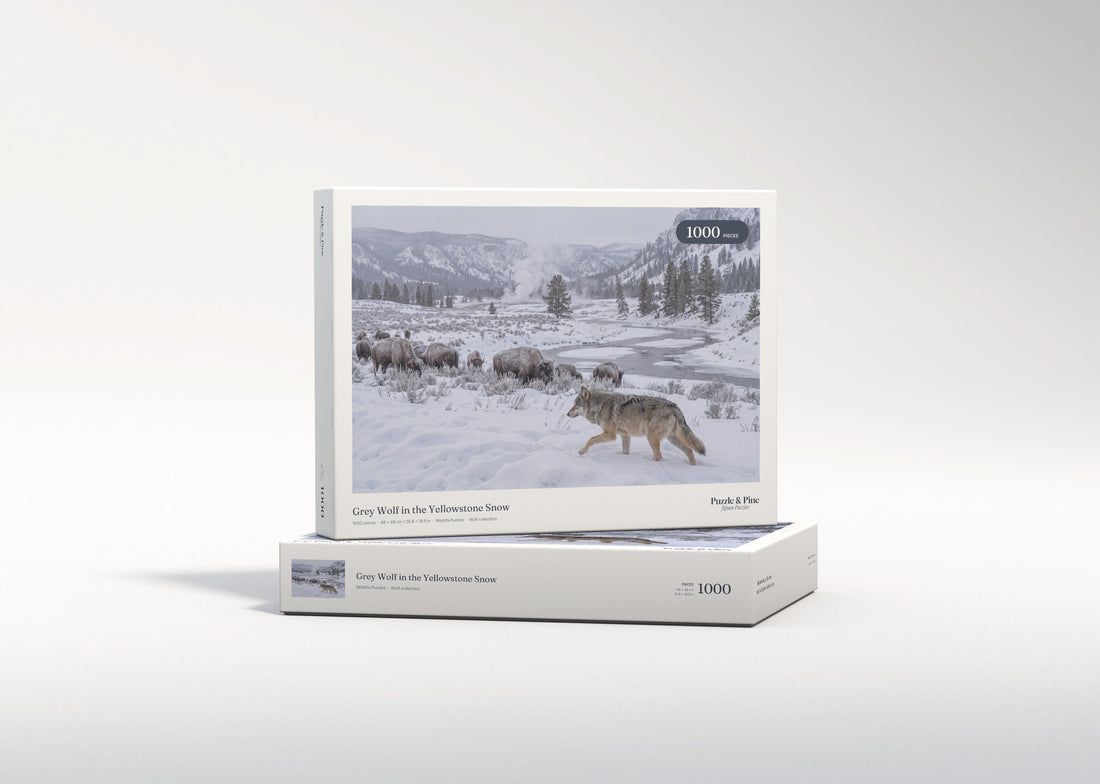 Grey Wolf in the Yellowstone Snow jigsaw puzzle - gift box