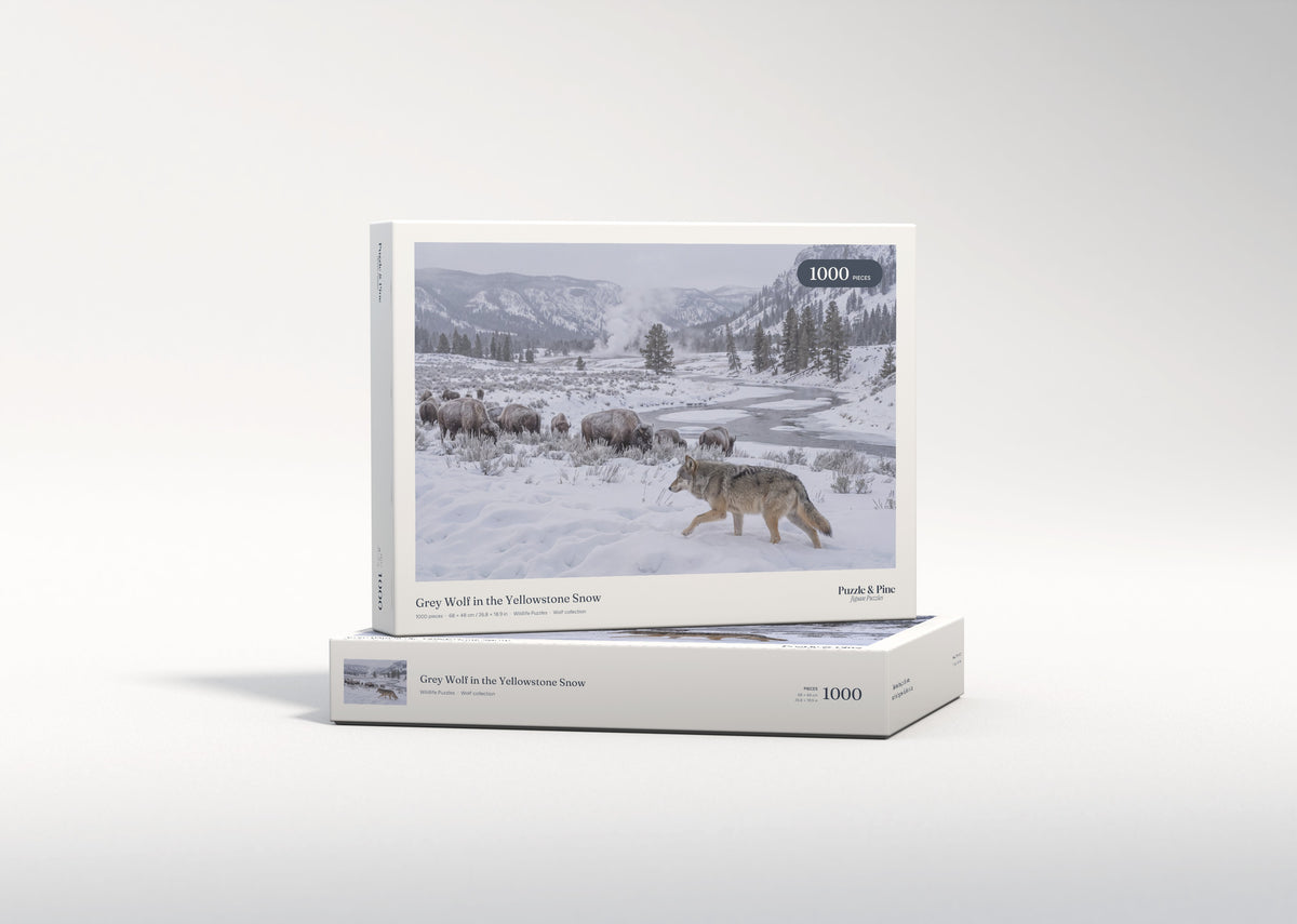 Grey Wolf in the Yellowstone Snow jigsaw puzzle - gift box