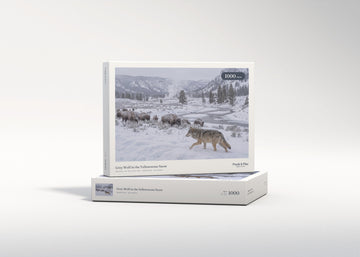 Grey Wolf in the Yellowstone Snow jigsaw puzzle - gift box