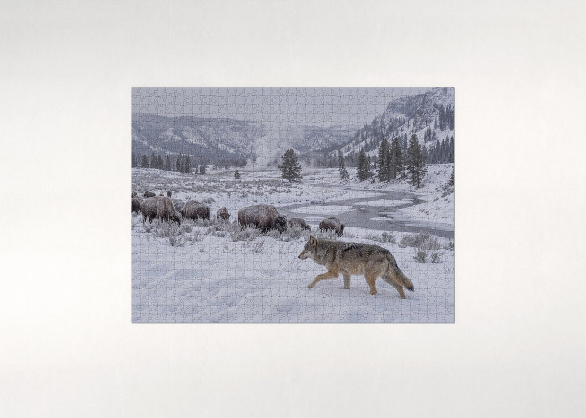 Grey Wolf in the Yellowstone Snow jigsaw puzzle - flat puzzle