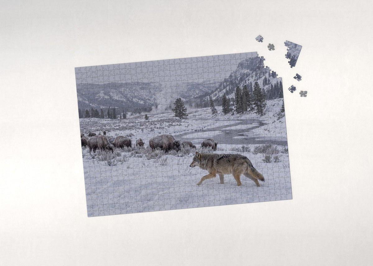Grey Wolf in the Yellowstone Snow jigsaw puzzle - puzzle with loose pieces