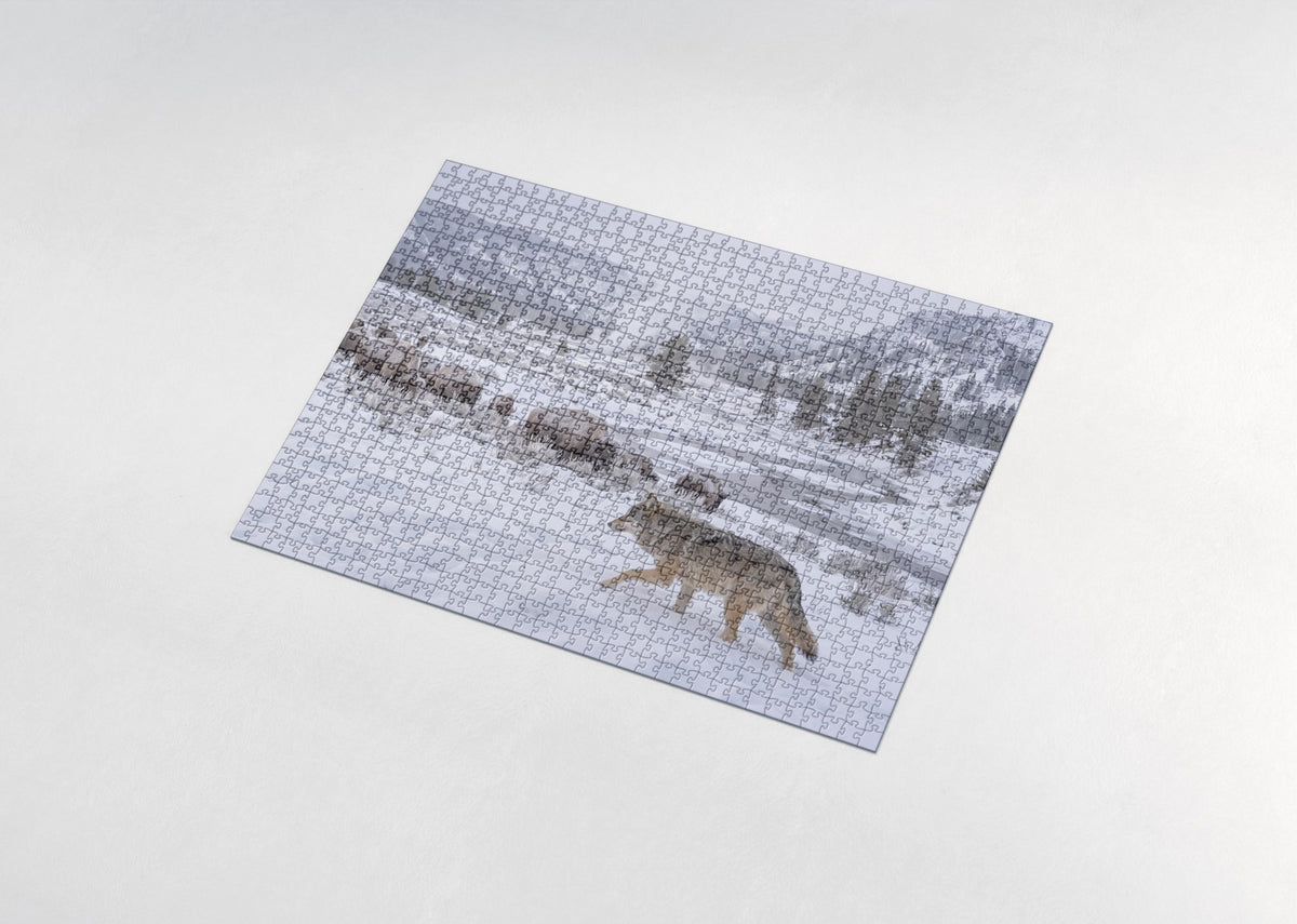 Grey Wolf in the Yellowstone Snow jigsaw puzzle - assembled puzzle