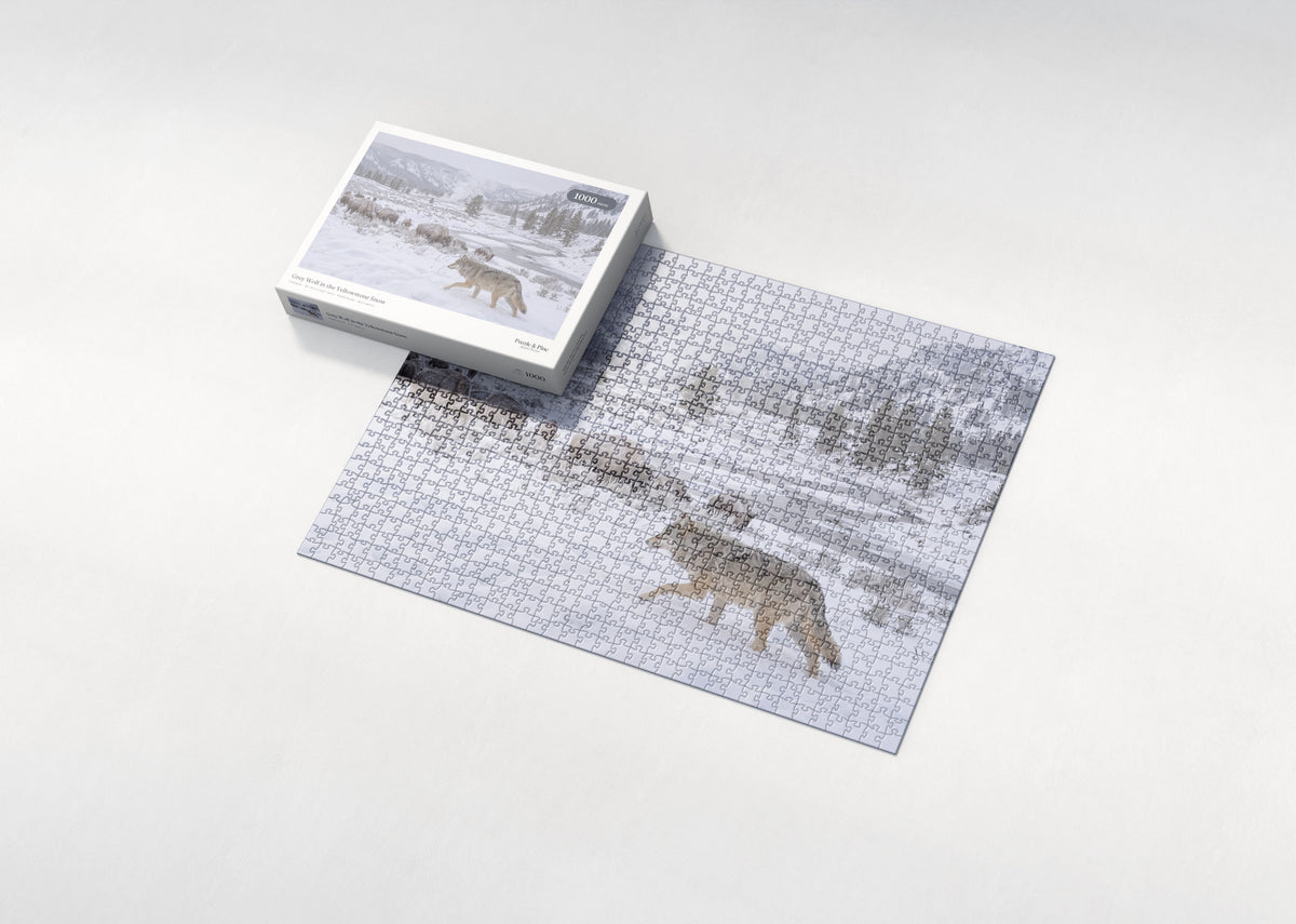 Grey Wolf in the Yellowstone Snow jigsaw puzzle - box and puzzle