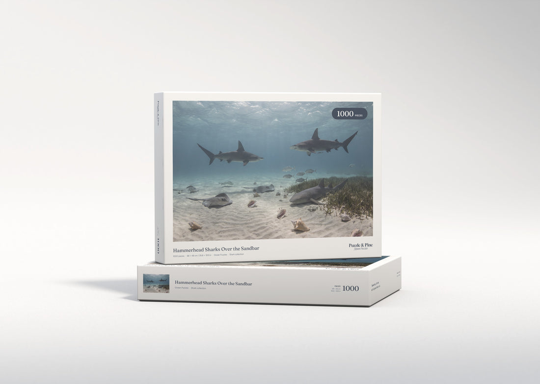 Hammerhead Sharks Over the Sandbar jigsaw puzzle - gift box