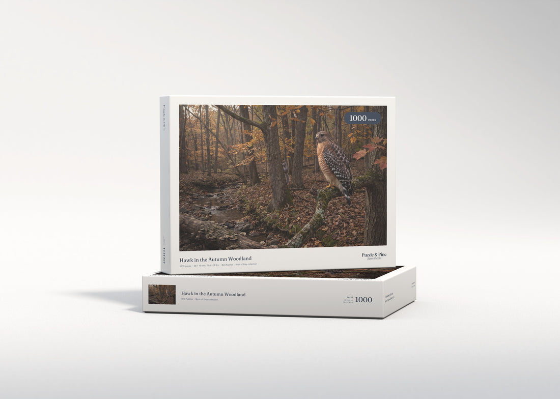 Hawk in the Autumn Woodland jigsaw puzzle - gift box