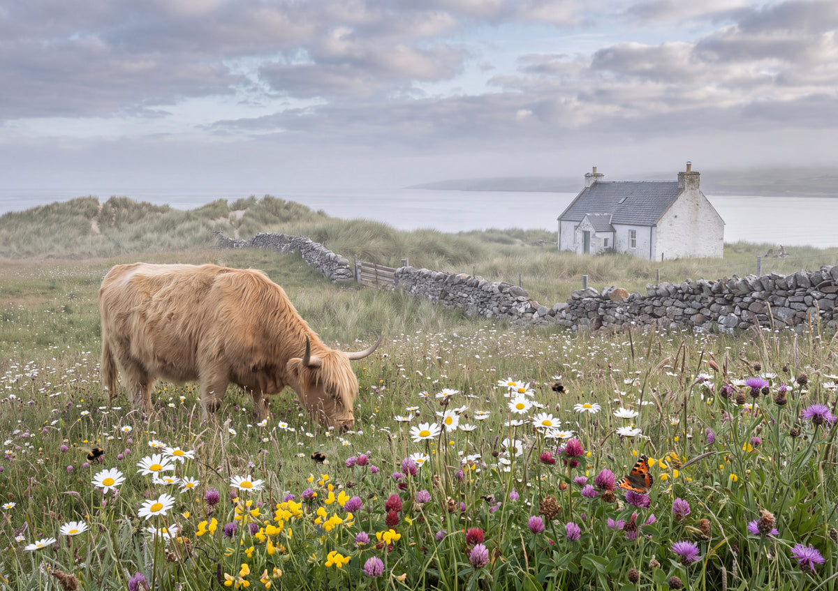 Highland Cow Among the Wildflowers jigsaw puzzle