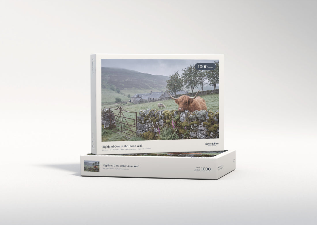 Highland Cow at the Stone Wall jigsaw puzzle - gift box