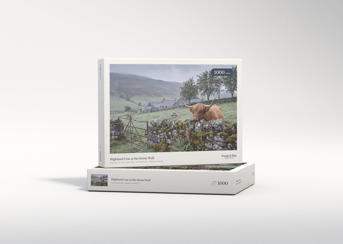 Highland Cow at the Stone Wall jigsaw puzzle - gift box