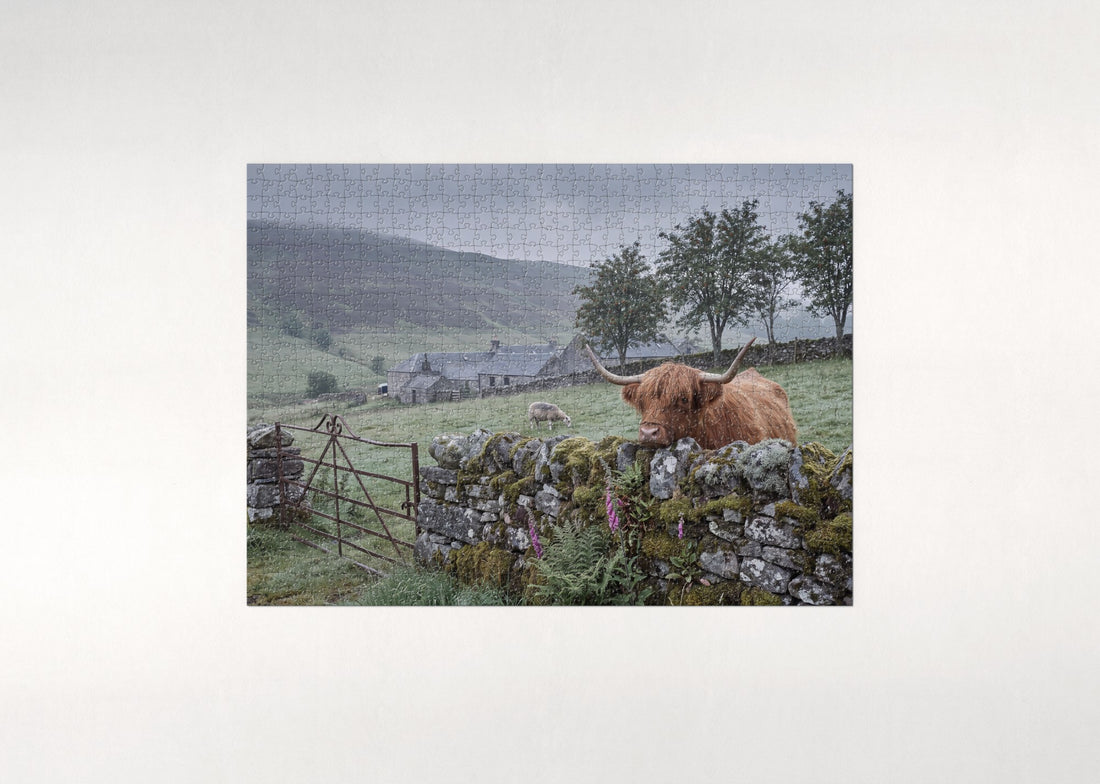 Highland Cow at the Stone Wall jigsaw puzzle - gift box