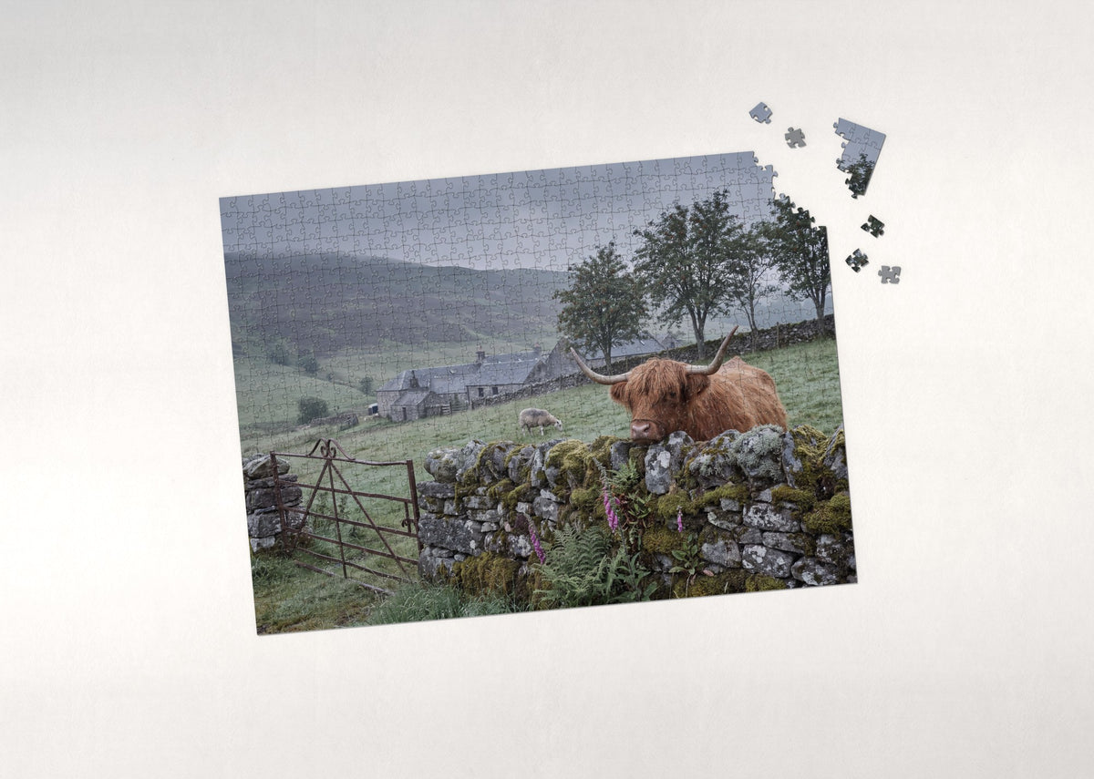 Highland Cow at the Stone Wall jigsaw puzzle - puzzle with loose pieces