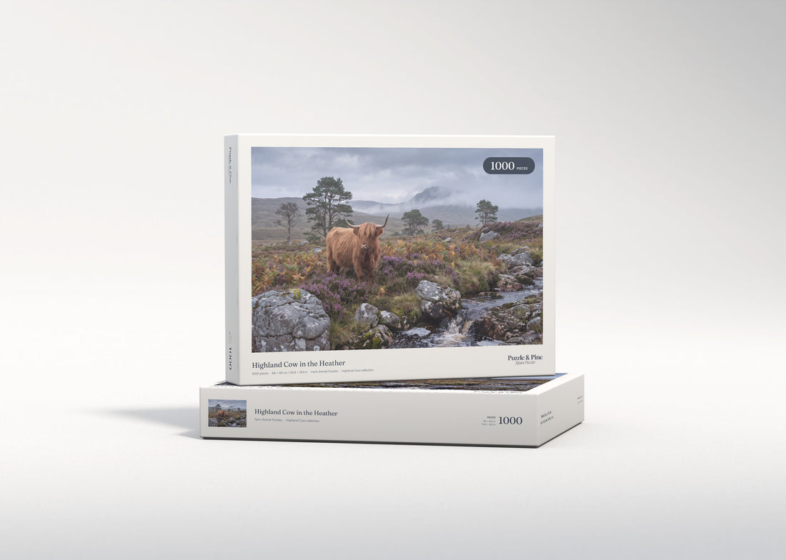 Highland Cow in the Heather jigsaw puzzle - gift box