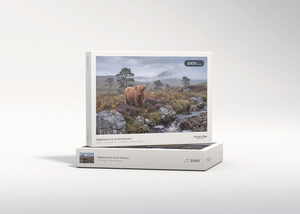 Highland Cow in the Heather jigsaw puzzle - gift box