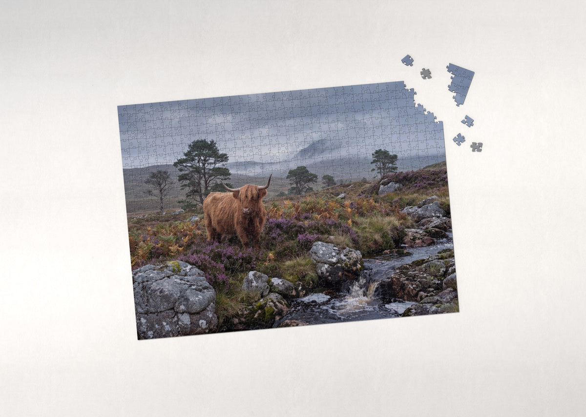 Highland Cow in the Heather jigsaw puzzle - puzzle with loose pieces