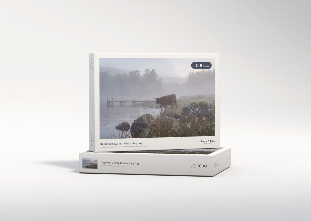 Highland Cow in the Morning Fog jigsaw puzzle - gift box