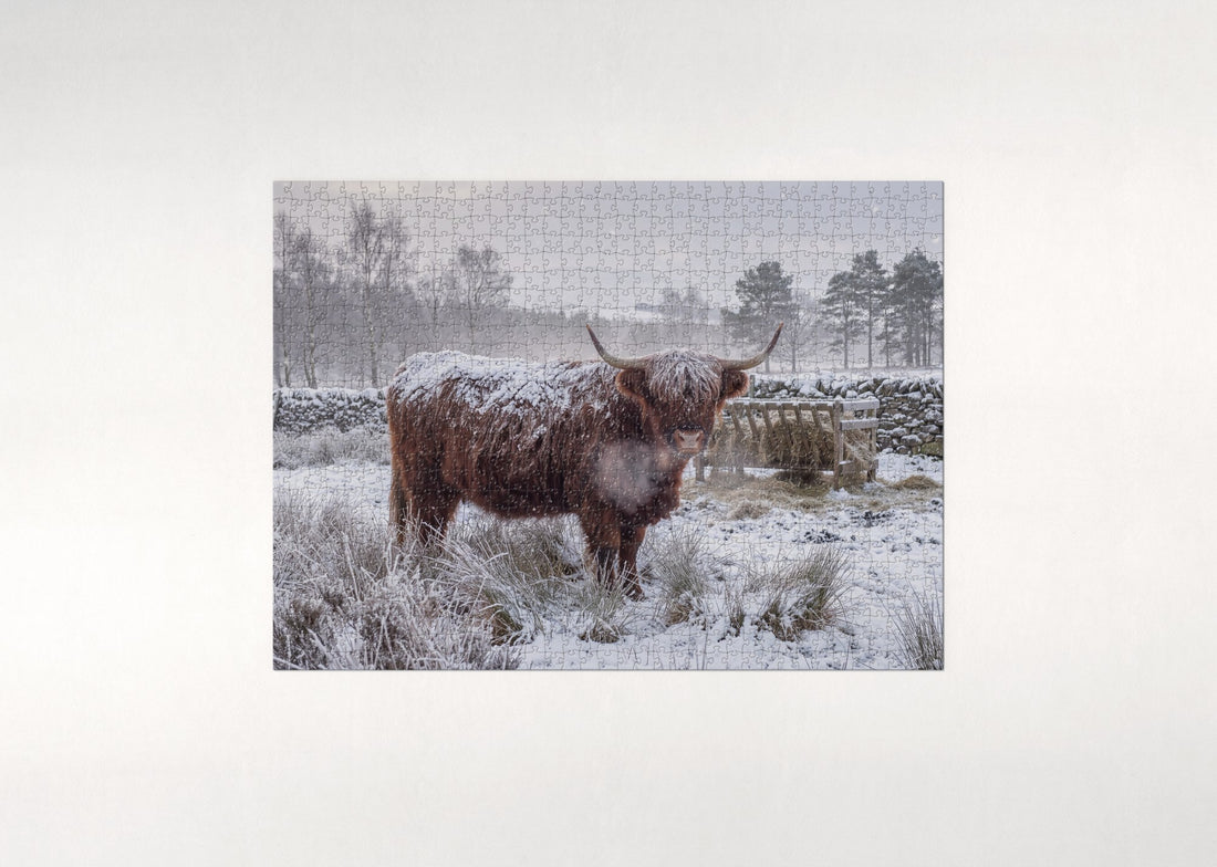 Highland Cow in the Snow jigsaw puzzle - gift box