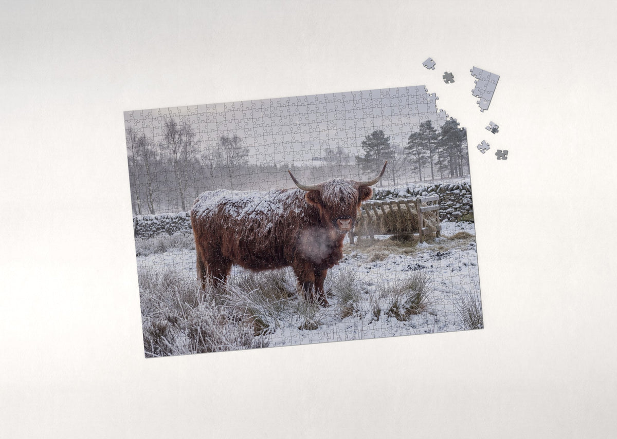 Highland Cow in the Snow jigsaw puzzle - puzzle with loose pieces