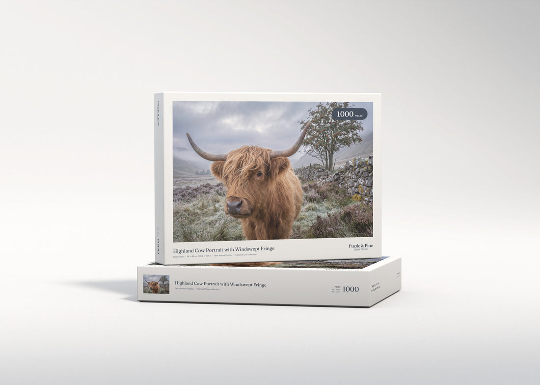 Highland Cow Portrait with Windswept Fringe jigsaw puzzle - gift box
