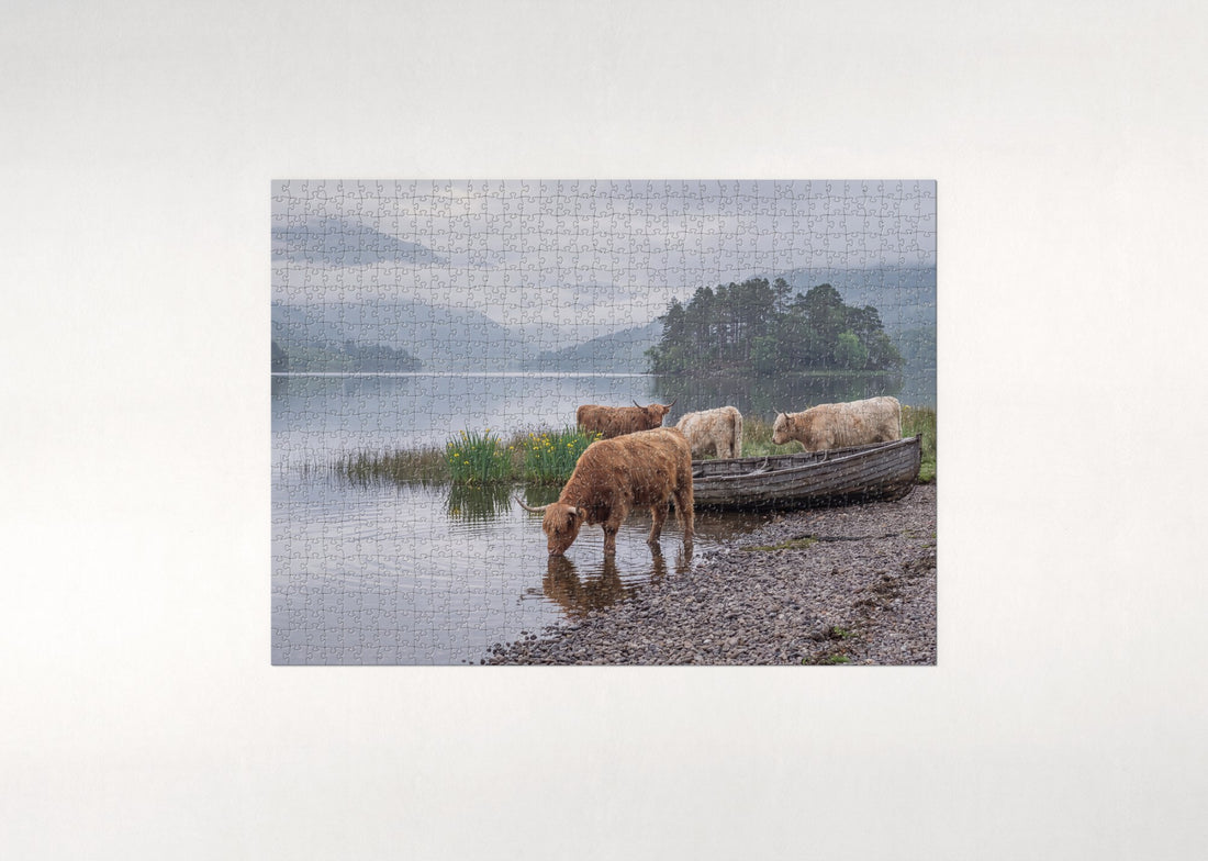 Highland Cows at the Loch Shore jigsaw puzzle - gift box